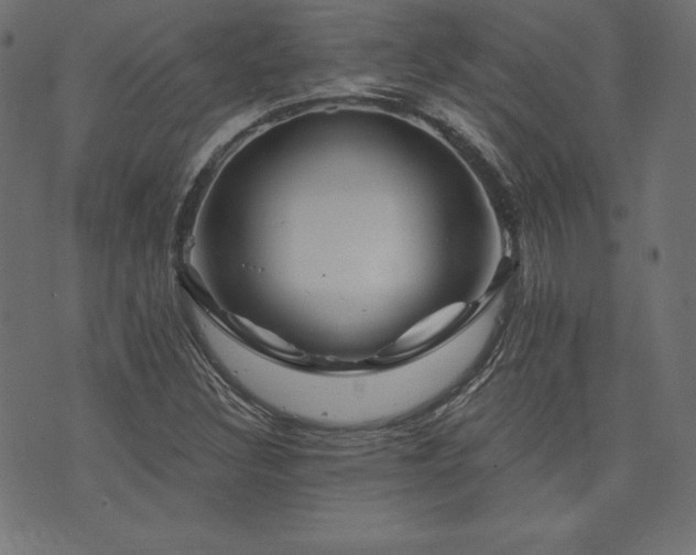 X0000074011308200608211412