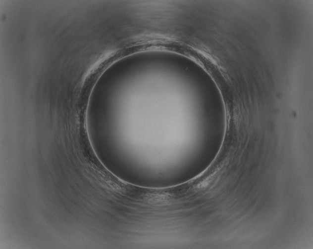 X0000074011309200608211412