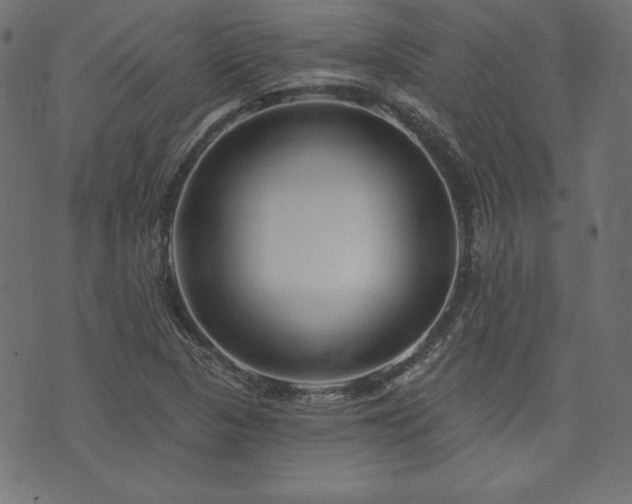 X0000074011313200608211412
