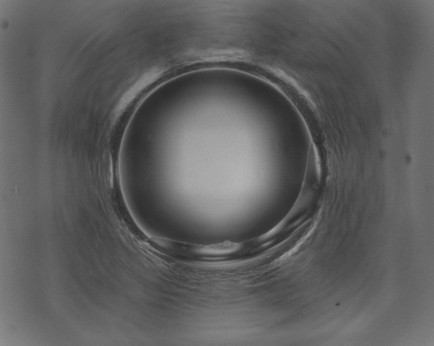 X0000074011317200608211412