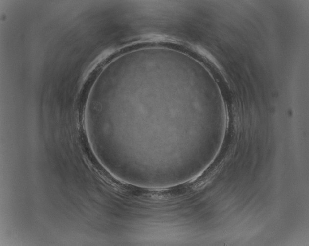 X0000074011318200608211412