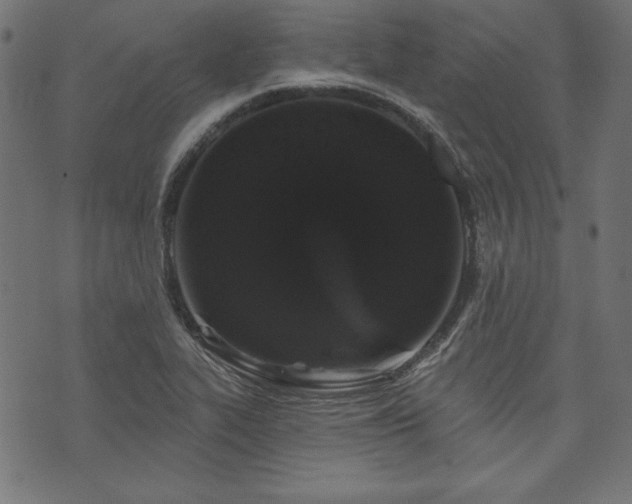 X0000074011319200608211412