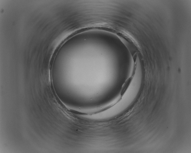 X0000074011324200608211412