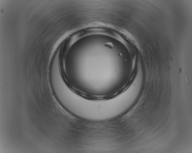 X0000074011326200608211412