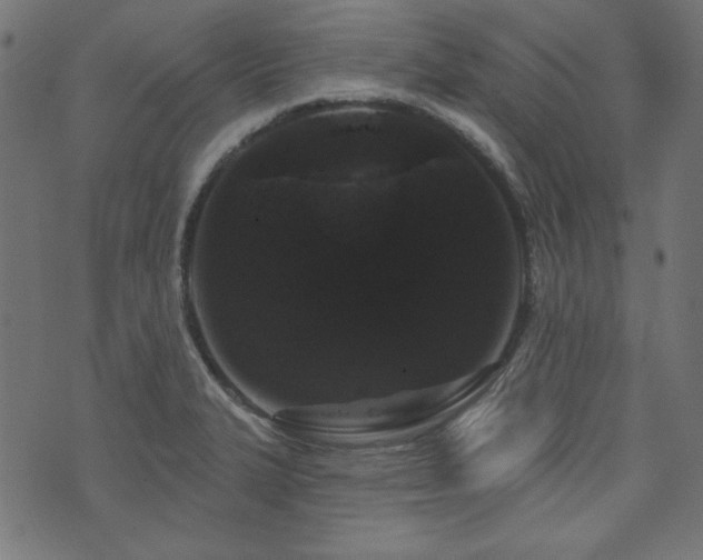 X0000074011327200608211412
