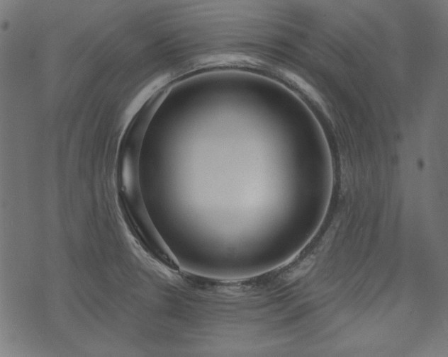X0000074011330200608211412