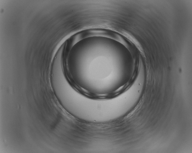 X0000074011340200608211412