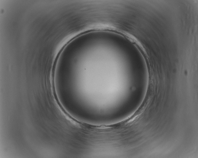 X0000074011343200608211412