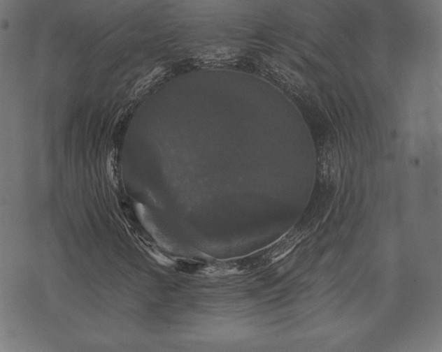 X0000074011346200608211411