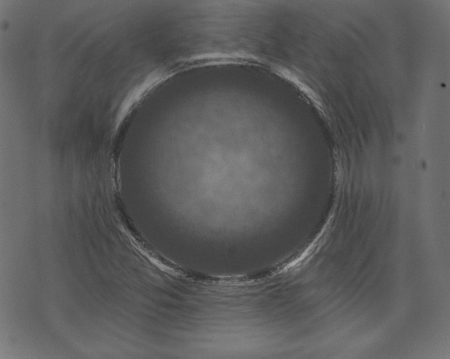 X0000074011357200608211411