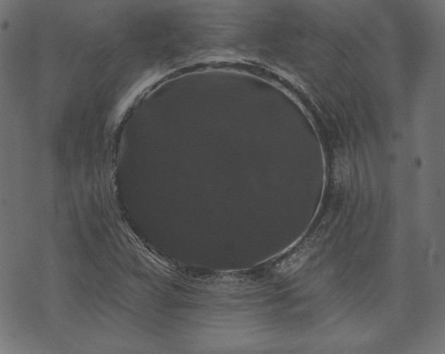 X0000074011359200608211411
