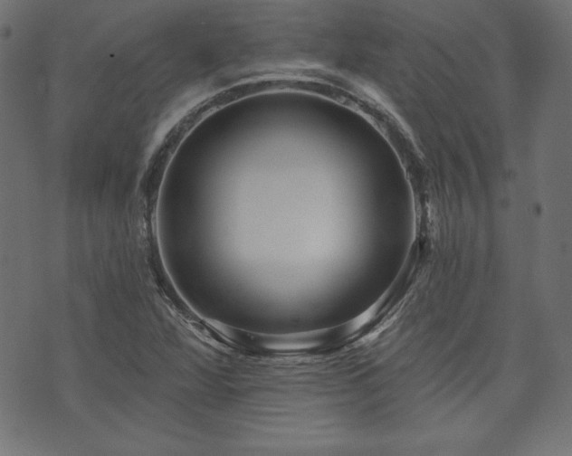 X0000074011360200608211411