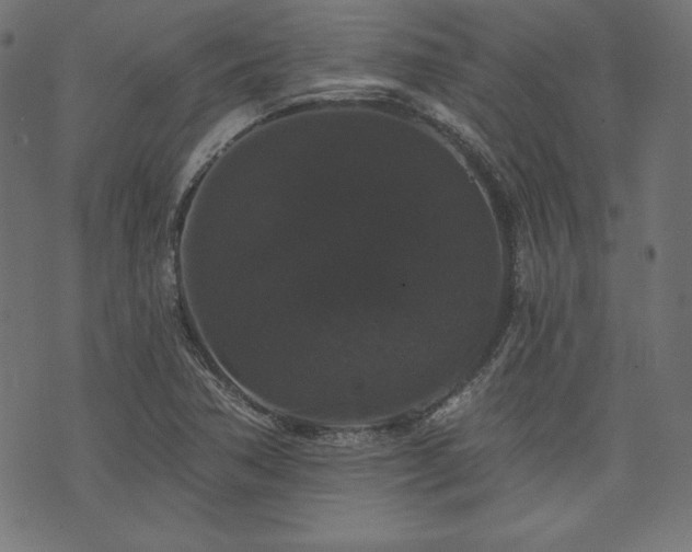 X0000074011362200608211411