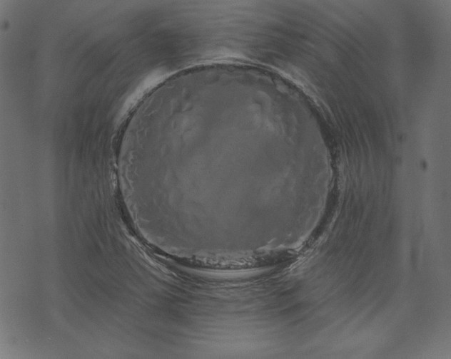 X0000074011363200608211411