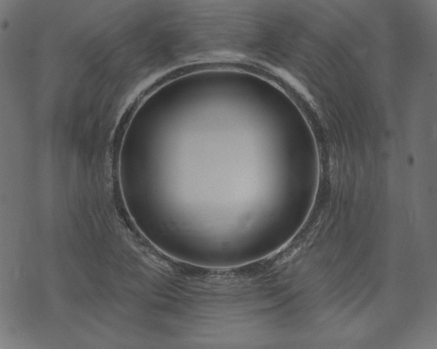 X0000074011364200608211411