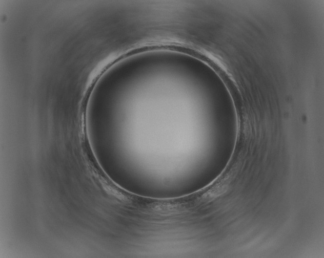 X0000074011366200608211411