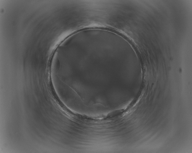 X0000074011367200608211411