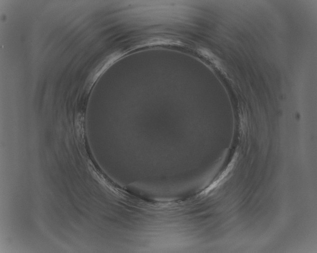 X0000074011369200608211411