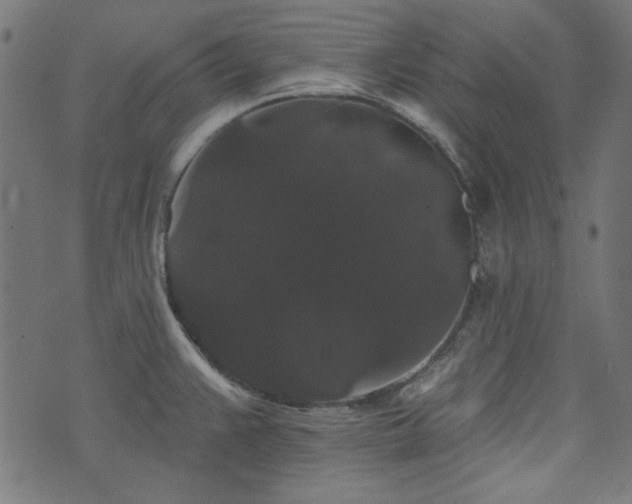 X0000074011383200608211411