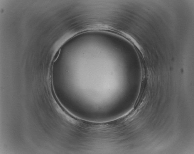 X0000074011387200608211411