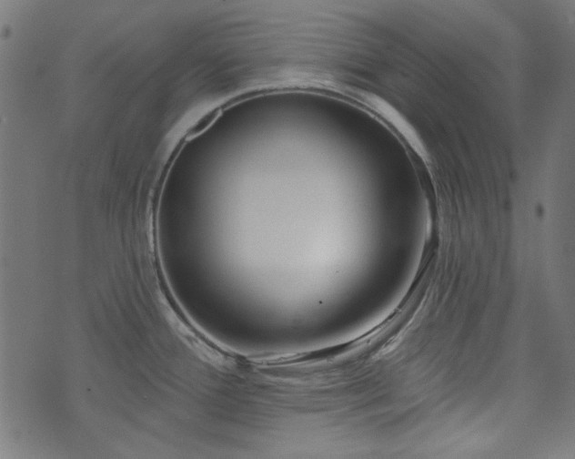 X0000074011388200608211411