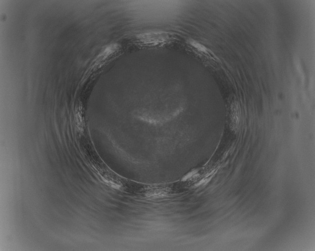 X0000074011394200608211410