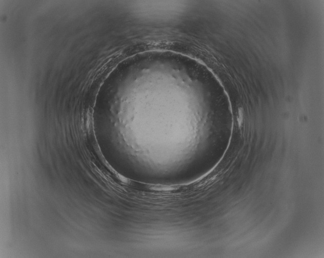 X0000074011396200608211410