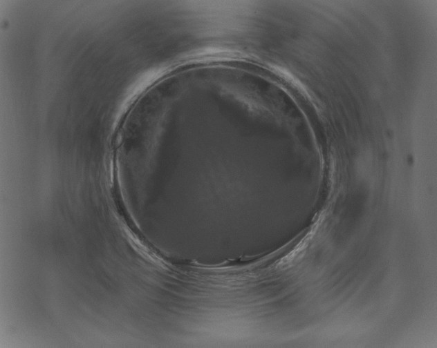 X0000074011413200608211410