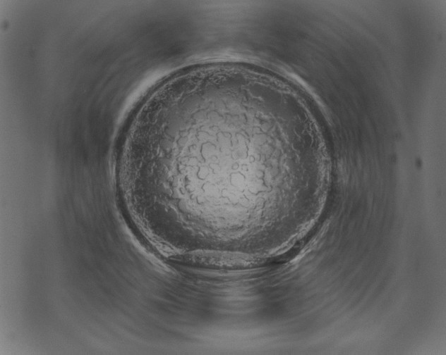 X0000074011416200608211410