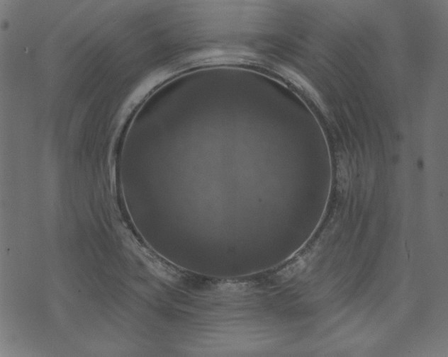X0000074011419200608211410