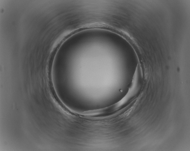 X0000074011422200608211410