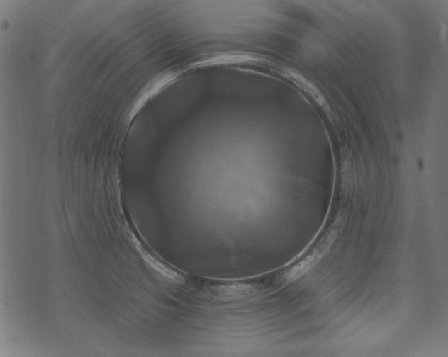 X0000074011425200608211410
