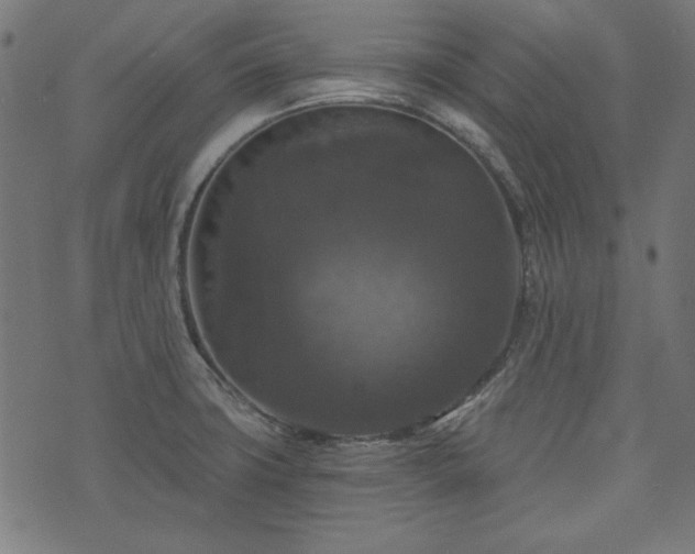X0000074011427200608211410