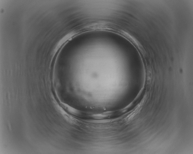 X0000074011434200608211410