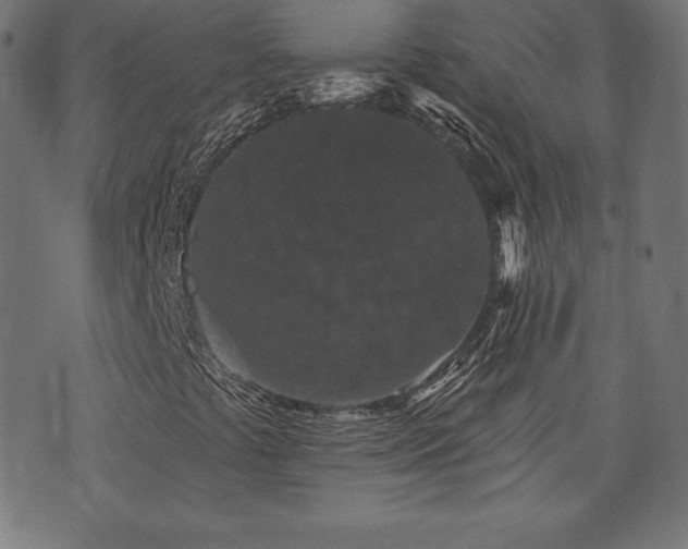 X0000074011441200608211410