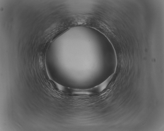 X0000074011442200608211410