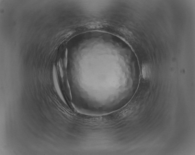 X0000074011444200608211410