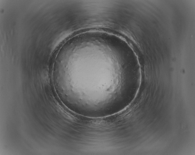 X0000074011452200608211410