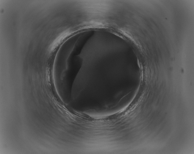 X0000074011455200608211410