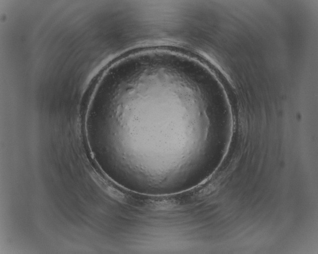 X0000074011460200608211409