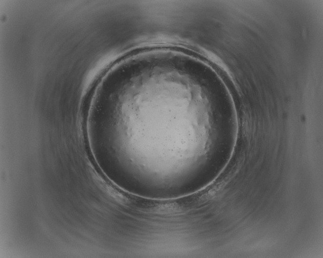 X0000074011464200608211409