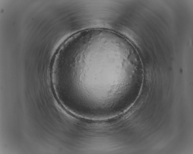 X0000074011468200608211409