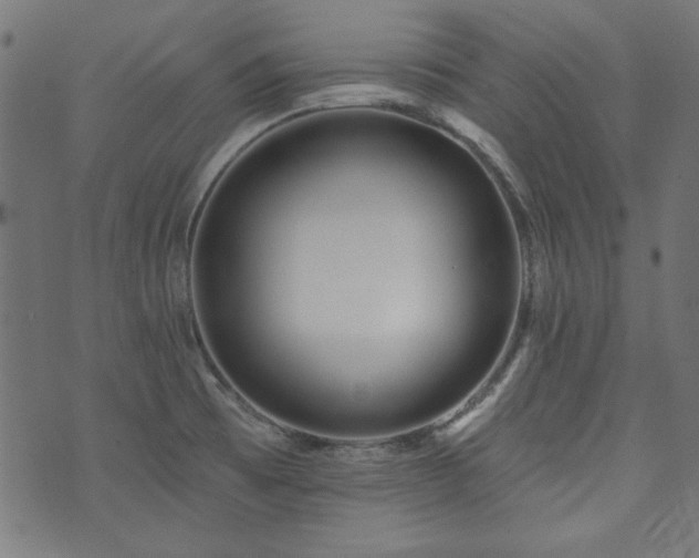 X0000074011473200608211409