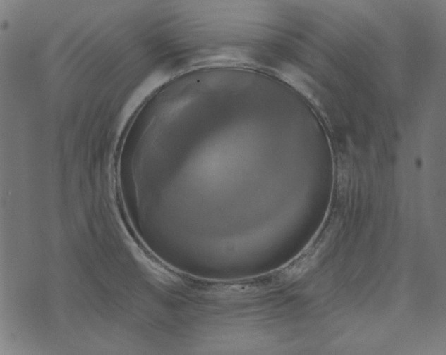 X0000074011474200608211409
