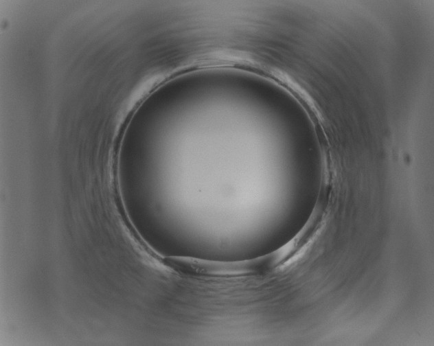 X0000074011477200608211409