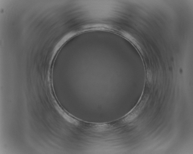 X0000074011482200608211409