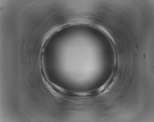 X0000074011485200608211409