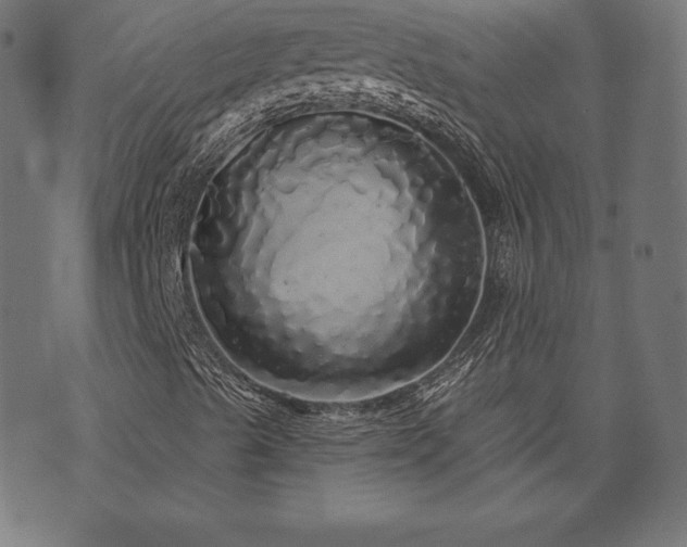 X0000074011489200608211408
