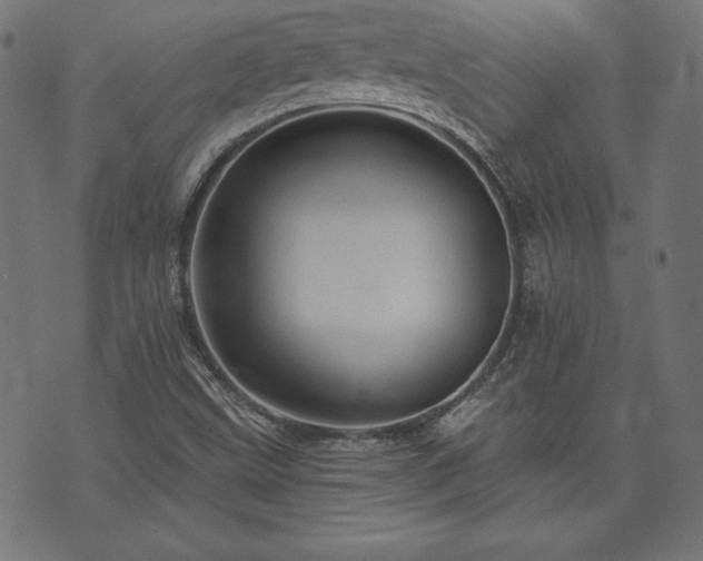 X0000074011499200608211408