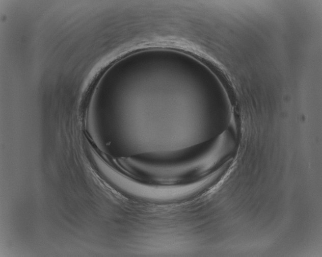 X0000074011506200608211409